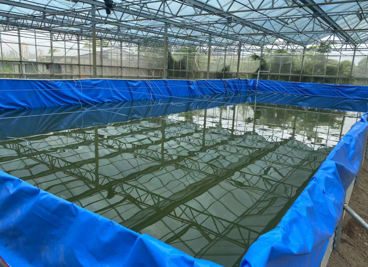 Shrimp Farming Applications